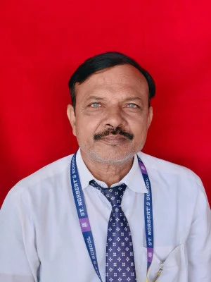 Mr. Akhilesh Singh